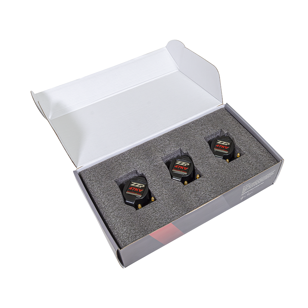 ZZP 3800 High Voltage Coil Packs