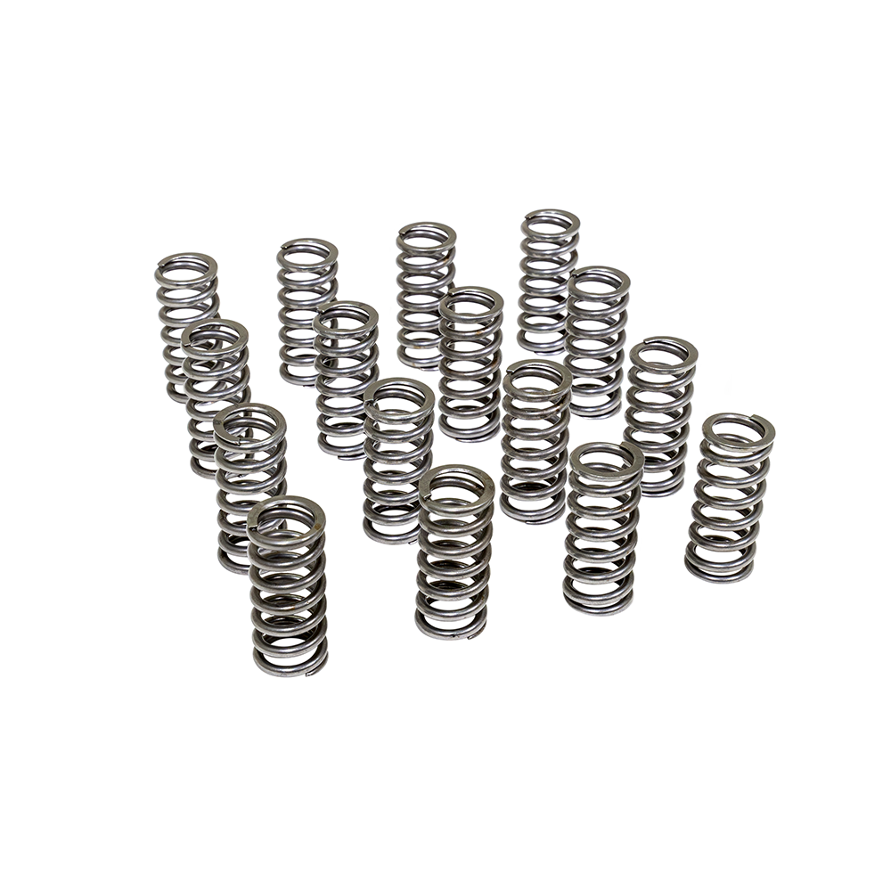 ZZP LE2 75# Valve Springs