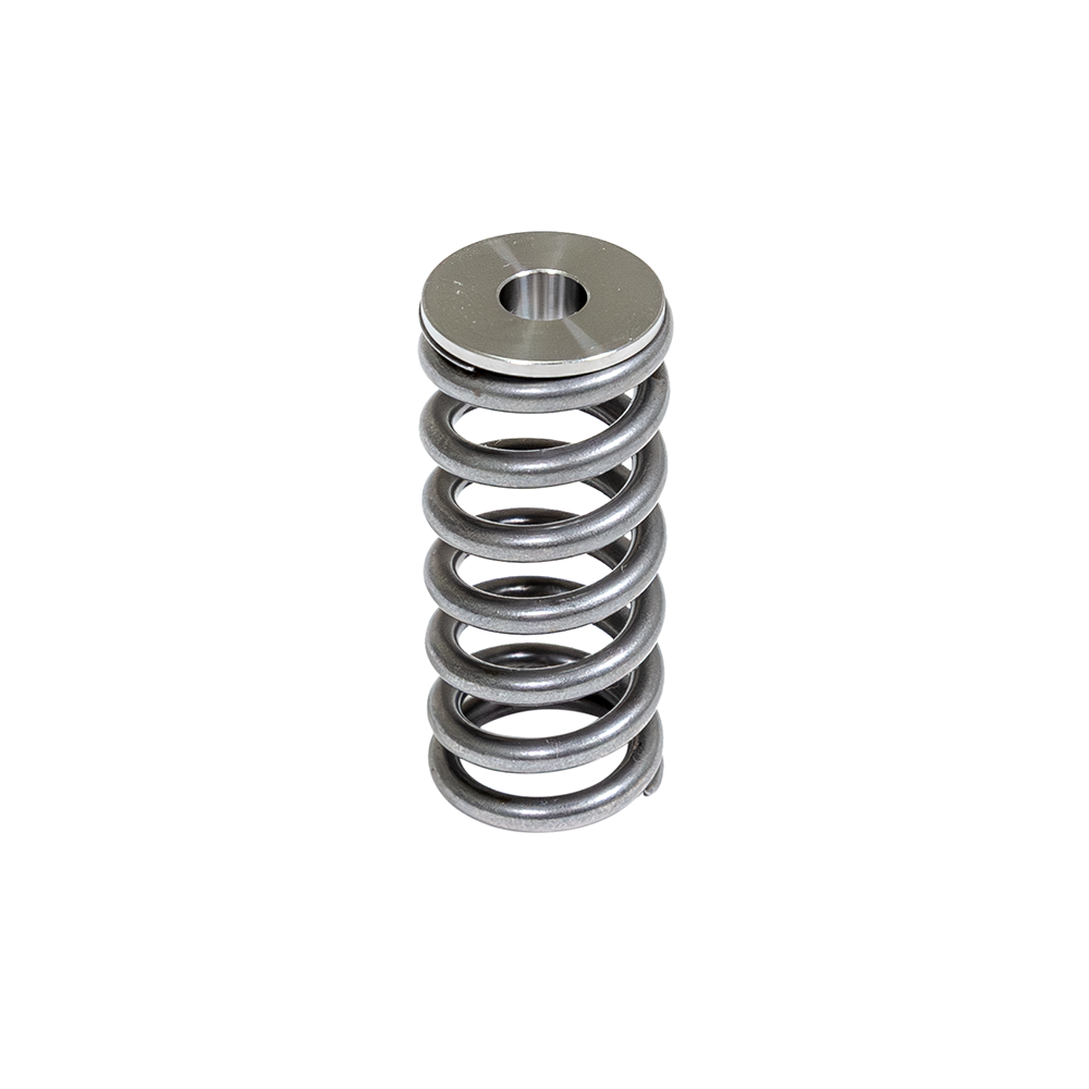 ZZP LE2 75# Valve Springs
