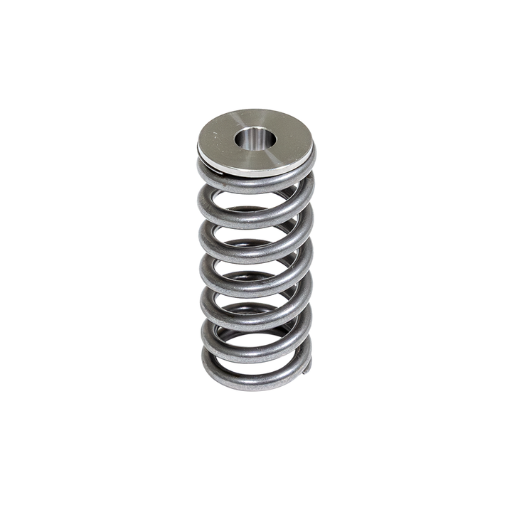 ZZP LE2 75# Valve Springs