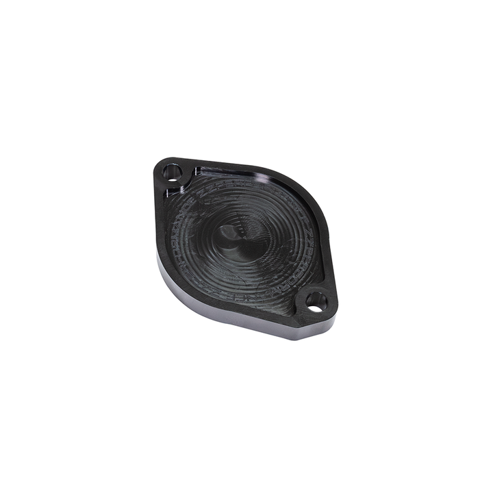 ZZP LSJ Intake Cam End Plate