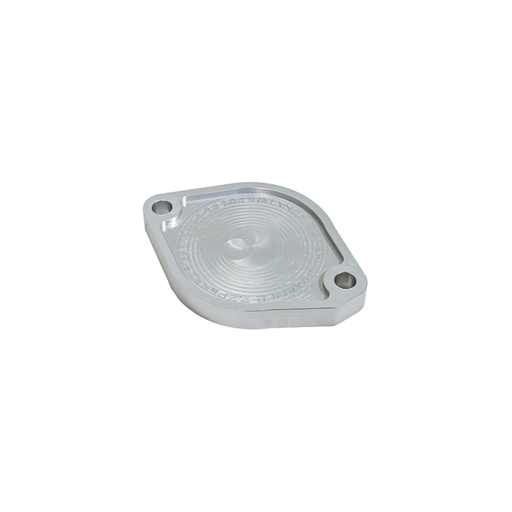 ZZP LSJ Intake Cam End Plate