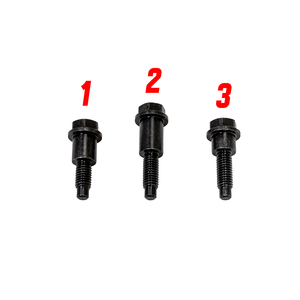 ZZP LTG Timing Chain Guide Bolts