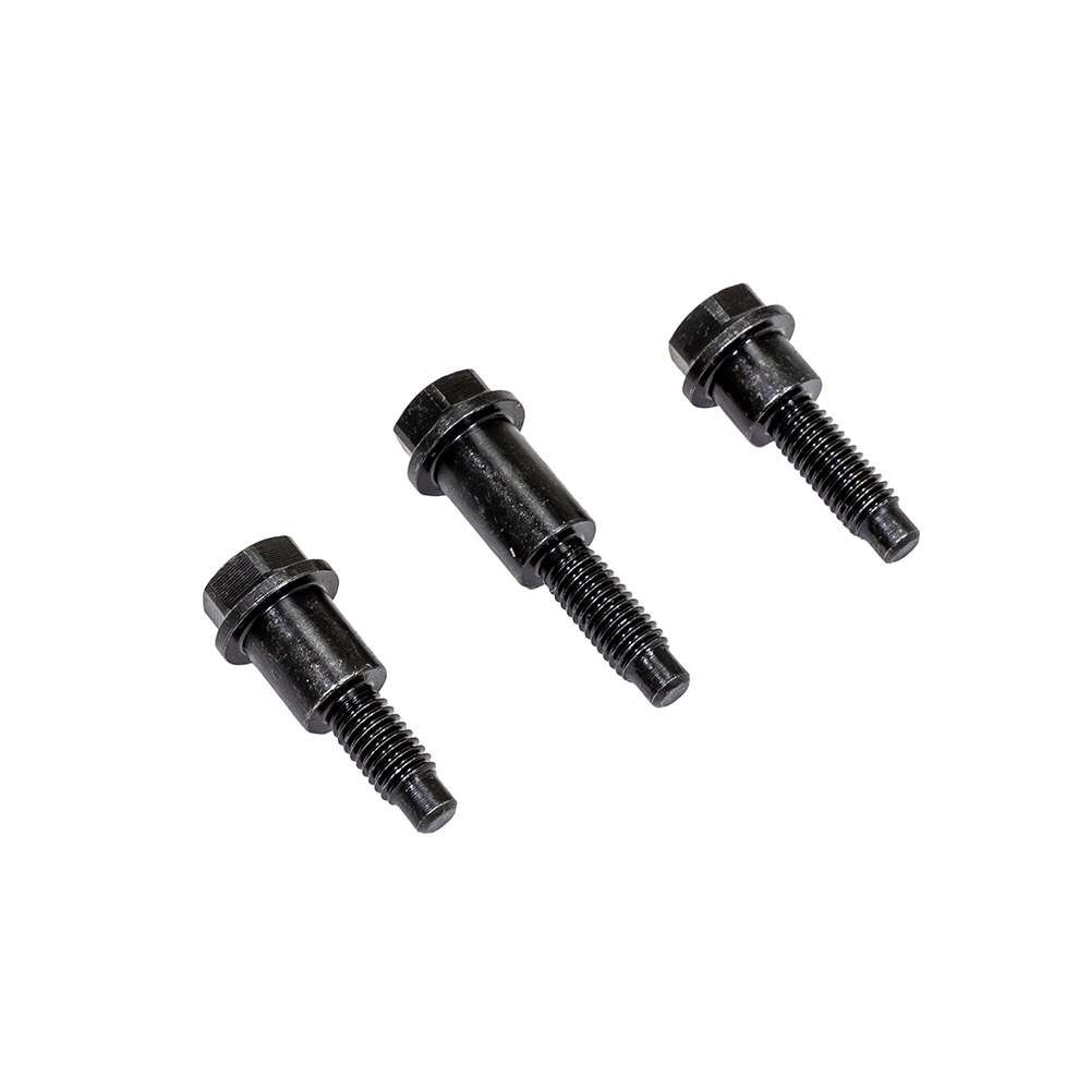 ZZP LTG Timing Chain Guide Bolts