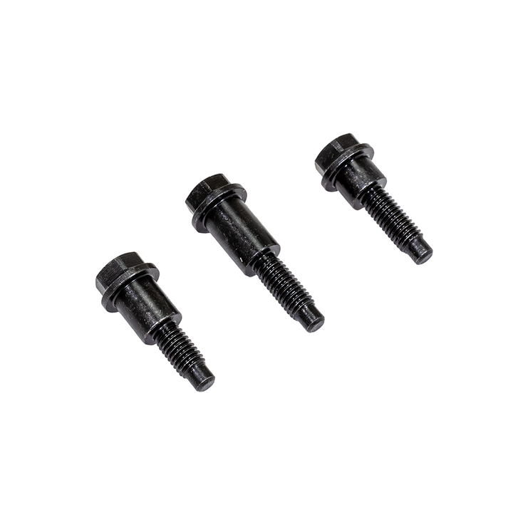 ZZP LTG Timing Chain Guide Bolts