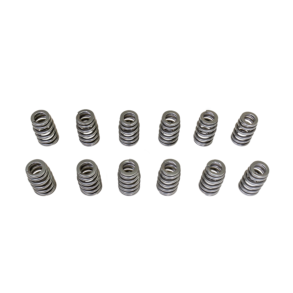 ZZP 3800 150# Valve Springs